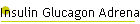 Insulin Glucagon Adrenalin