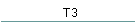 T3